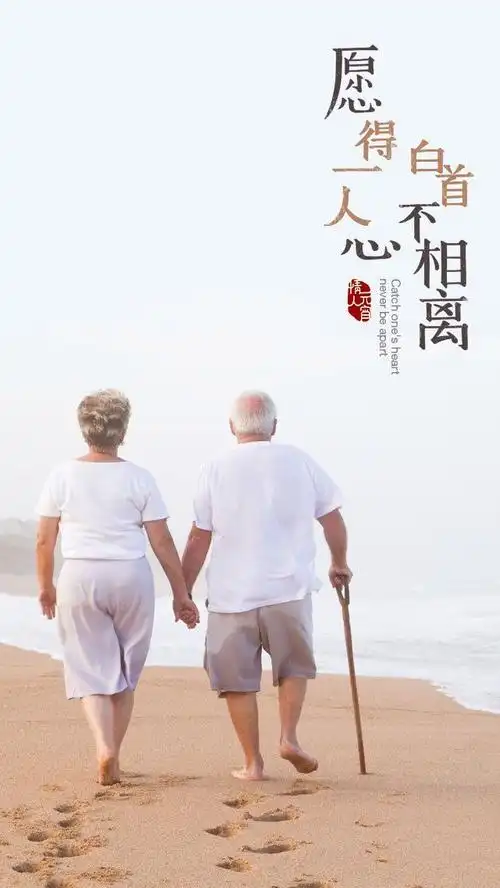 【愿得一人心白首不分离】