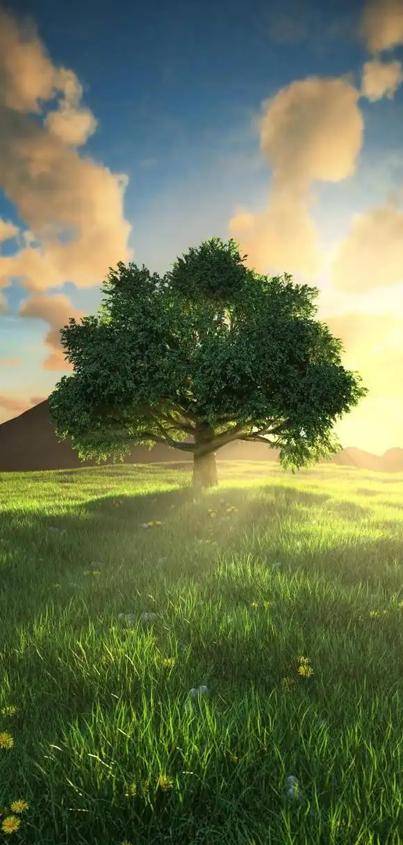 4k壁纸:春天要有春天的感觉.#手机壁纸