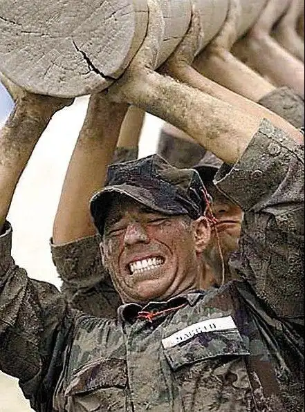 高清:"海豹"是如何炼成的