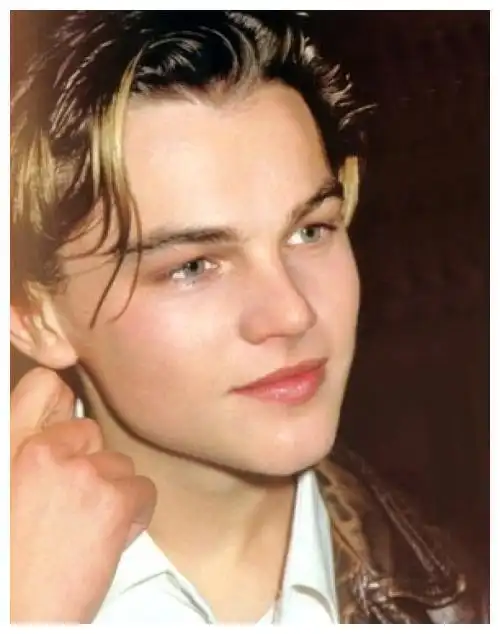 国家:美国1,莱昂纳多·迪卡普里奥全球十大帅哥排行榜