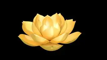 莲花视频素材下载, 莲花ae模板下载_光厂(vj师网)