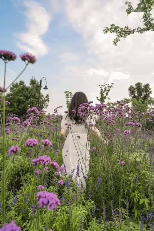 乘风破浪的武汉小姐姐寻找万国公园神秘花海