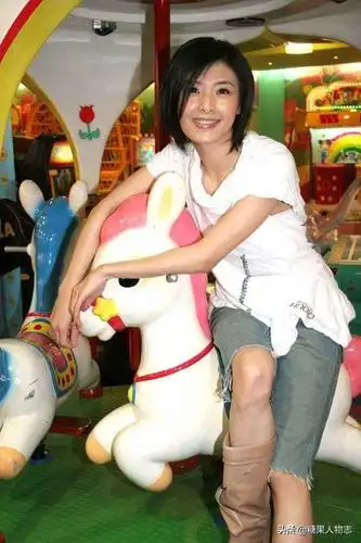 苏慧伦个人资料49岁苏慧伦复出激动落泪