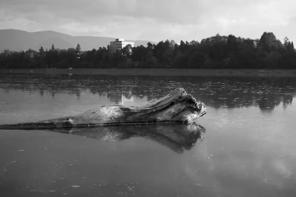 世界十大水怪之长白山天池水怪    恐怖指数:★★★★☆    神秘指数