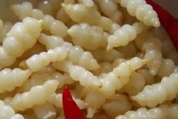 地笋怎么吃地笋的食用方法