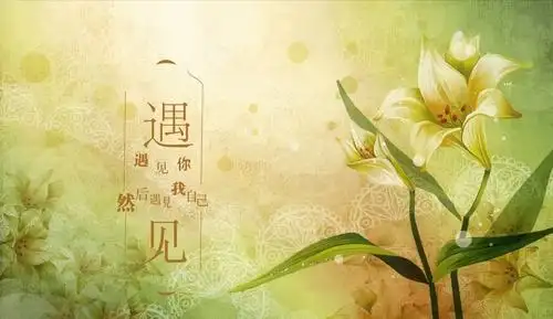 感恩,遇见最美的你