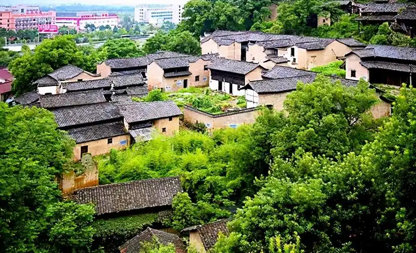 山东有一土豪村,人口不到800,年产值却达到了1094亿元_南山