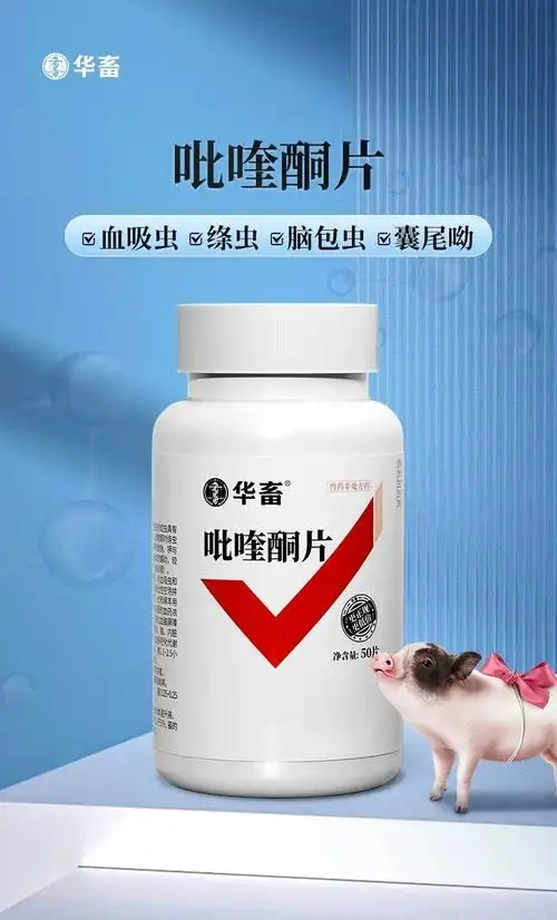 华畜吡喹酮驱虫药兽用鸡猪牛羊脑包虫绦虫打虫药吡喹酮片羊猫狗用