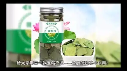 荷叶的功效与作用