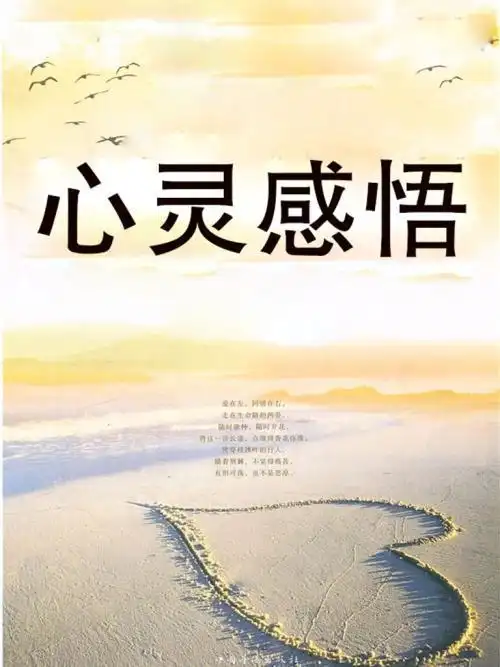心灵感悟