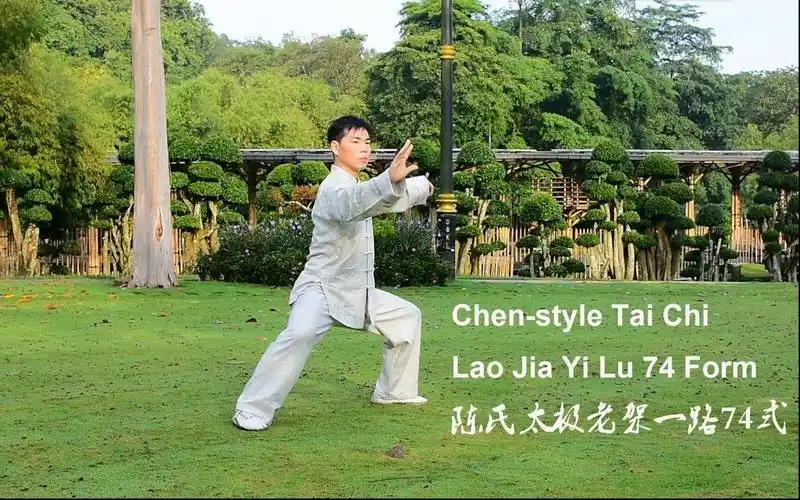 陈氏太极老架一路74式 chen-style tai chi lao jia yi lu (old frame