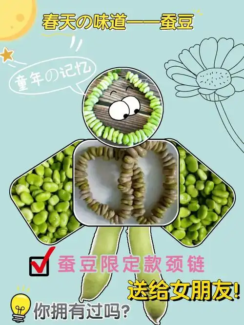 春天寻味蚕豆不仅好吃还能做项链哦
