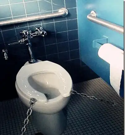 1/17 世界上最古怪的马桶