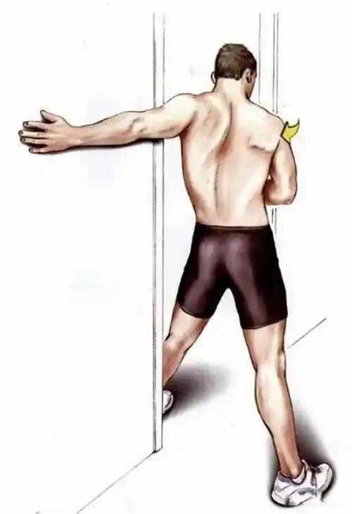 你要学习的手臂肌群拉伸都在这里了