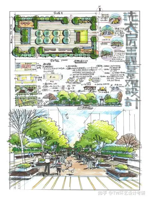 景观干货院校快题分享