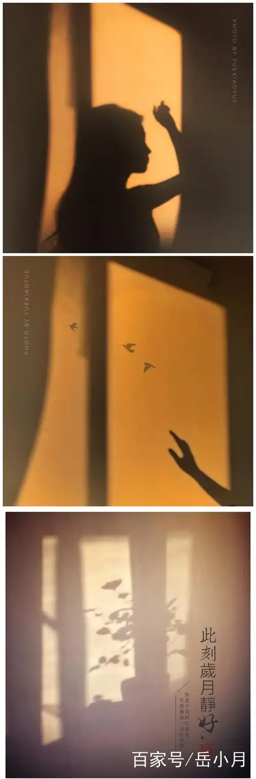 一,借助"光影"拍出意境: 无论是白天的阳光,还是夜晚的灯光.