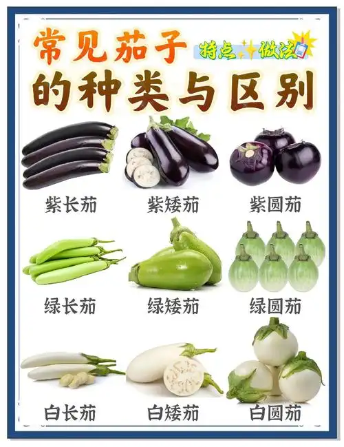 🍆🍆茄子挑选全攻略🍆🍆
