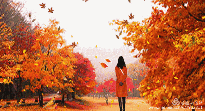 秋天 请再给我千百次的回眸