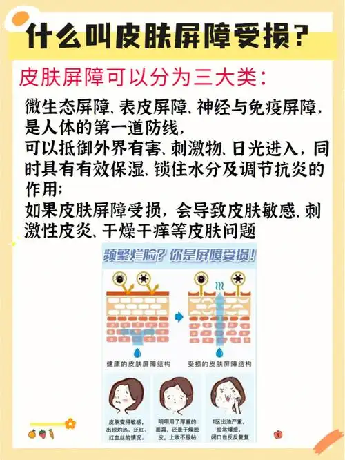 把皮肤像保护温室里的花朵一样,皮肤屏障好,皮肤才会好73皮肤屏障