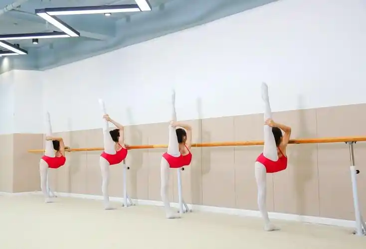 濮阳市芳馨艺术中心携手北京舞蹈学院一流教材《中国舞普及教育基本功