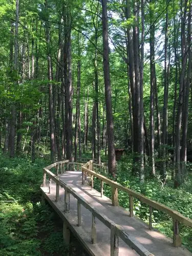 波尔登森林公园