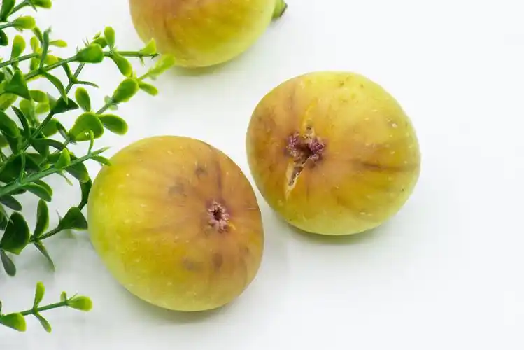 水果 营养 甜 白色背景 特写 花瓣 粉色花瓣 多个物体 室内 食品 食物