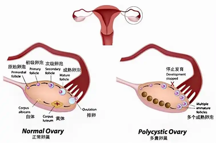 普通人千万不要尝试