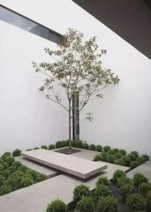 极简,很容易有禅意的感觉,   宁静致远,心静淡雅.