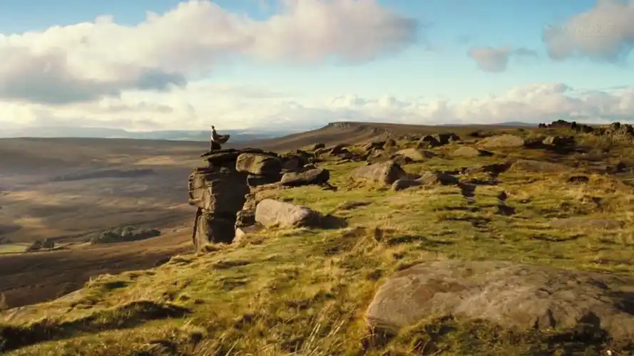 傲慢与偏见 截图