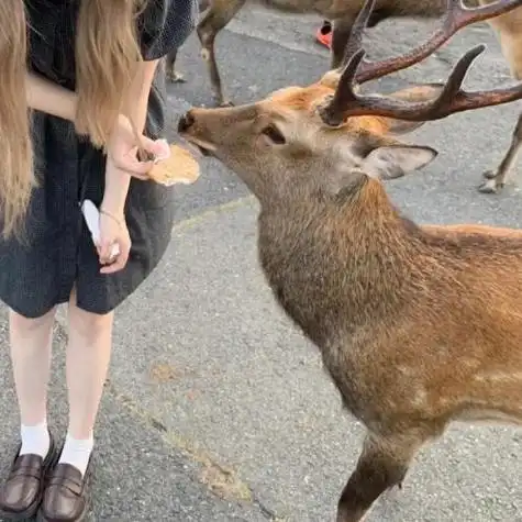 一人一半萌萌的情侣头像小孩子可爱一男一女