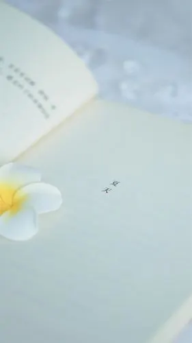 夏日文艺小清新随拍高清手机壁纸