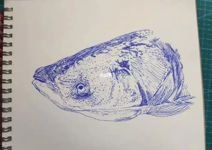 手绘临摹鱼头