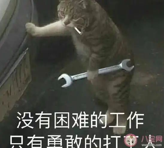 加油打工人朋友圈配|加油打工人朋友圈配文句子 加油打工人正能量文案