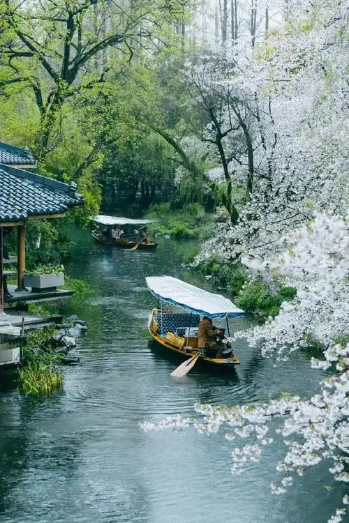 刚刚官宣杭州明日入春