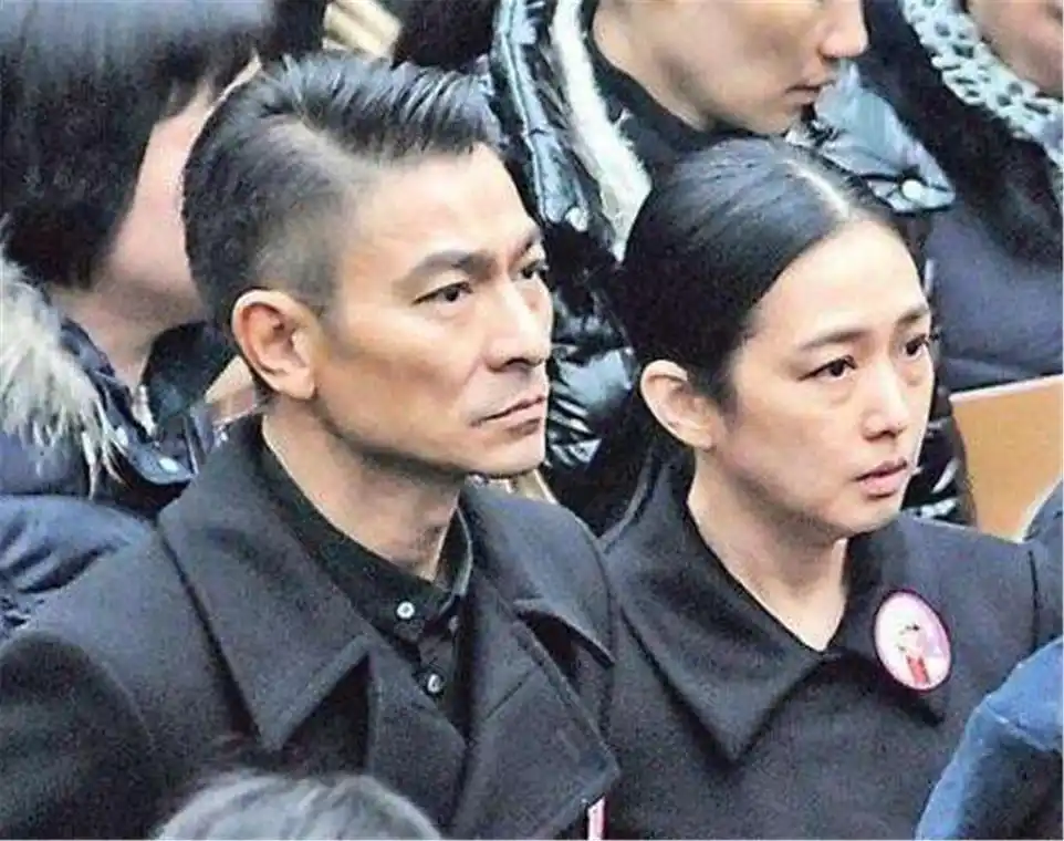 刘德华与朱丽倩电影