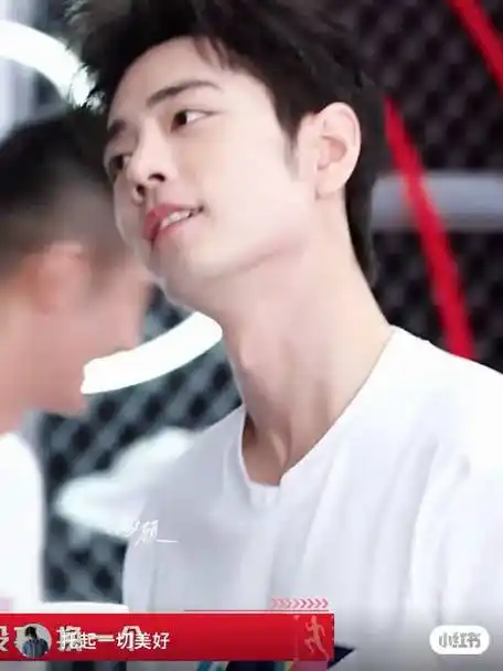 肖战谌龙合作##肖战白t歪头杀