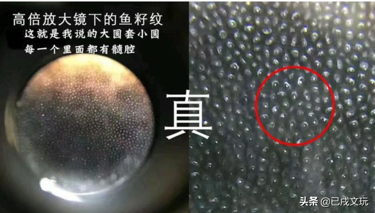 犀牛角鉴别(犀角如何辨别真假?