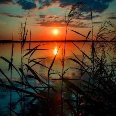 唯美风景头像图片大全高清