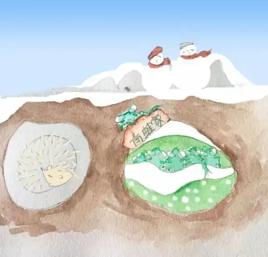青蛙冬眠简笔画2