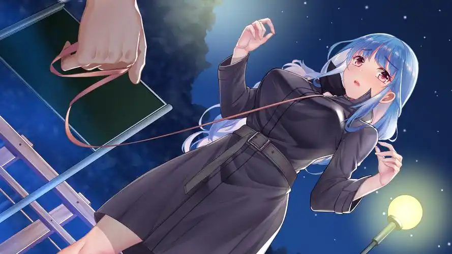 动漫美女性感美腿桌面壁纸