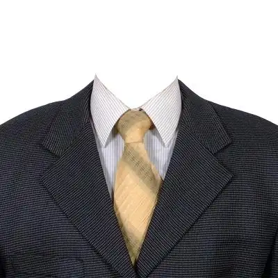 西装西服正装服装服饰衣服素材