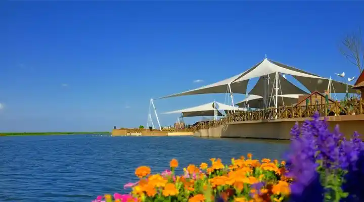 笔尖上的中国——天津七里海国家湿地公园尊贵文化之旅即将起航