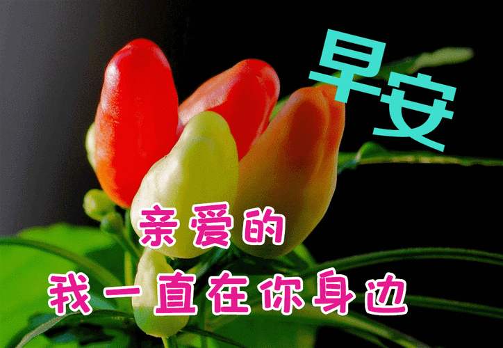 8月1日早上好问候语和关心话励志温暖早安语句万事可期早上好问候语