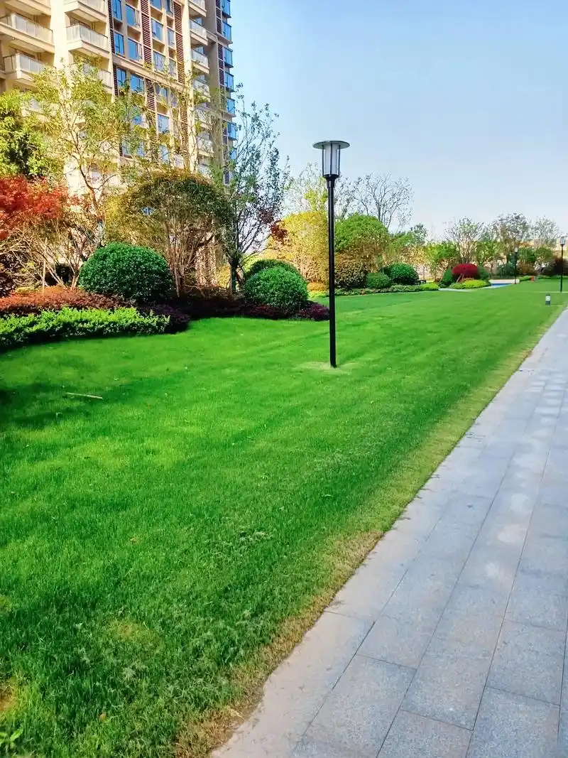 家人们好,#最美小区景观 #同城热点 #万丈高楼平地起成功只 - 抖音