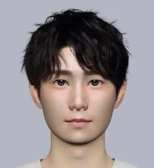 纹理烫男自然微分碎盖硬发