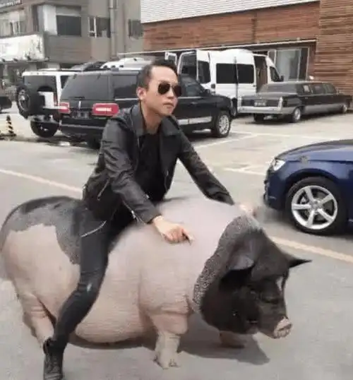 一位肉嘟嘟的胖妹,眼神太搞笑了,这就是为什么在p图大师的眼里没有丑