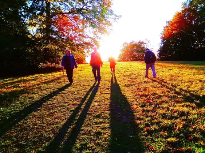 傍晚,我独自散步