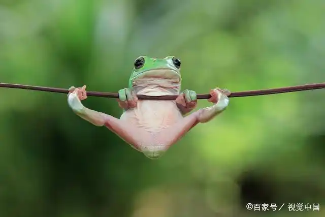 先来个空中劈叉吧,我牛不牛?