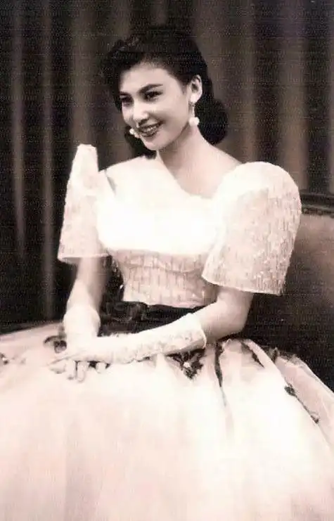 飘零燕电影剧情解析「解说」 _晶羽科技