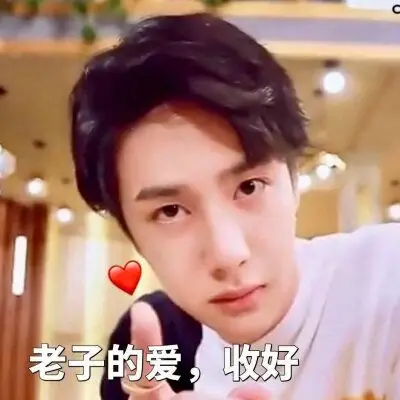 王一博表情包笔芯